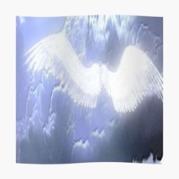 Go - Single - Xenova!