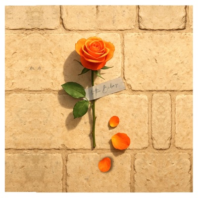 Je cherche encore - Single