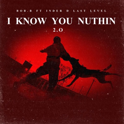 IKYN 2.0 (feat. Bob.B Randhawa) - Single