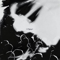 collapse - Single - shxpe