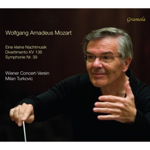 Divertimento in D Major, K. 136 (Version for String Orchestra): II. Andante