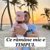 Flick Domnul Rima - Ce rămâne mic e timpul