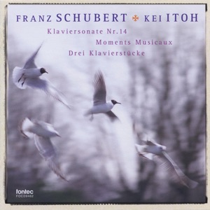 Schubert Klavierwerke 3