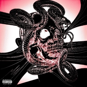 really (feat. Curtis Archive)
