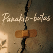 Panakip-butas