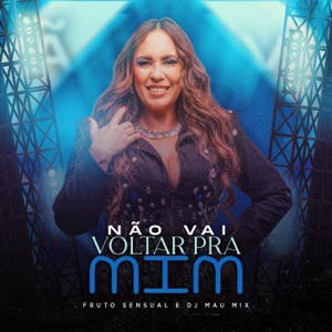 Não Vai Voltar Pra Mim