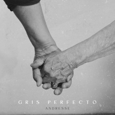 Gris Perfecto - Single
