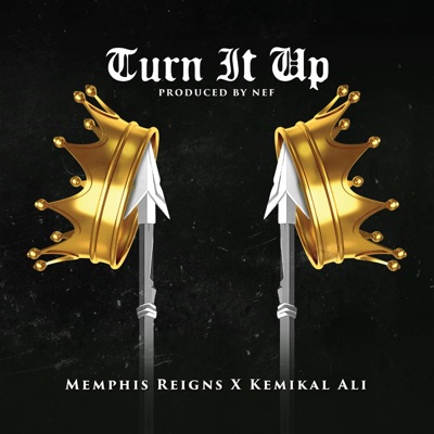 Turn It Up (feat. Kemikal Ali) - Single