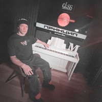 Стилёк - Princip