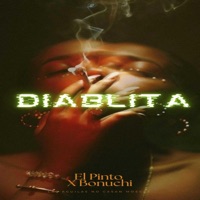 Diablita - Single - El Pinto