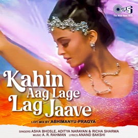 Kahin Aag Lage Lag Jaave (Lofi Mix) Richa Sharma, Aditya Narayan & Asha Bhosle
