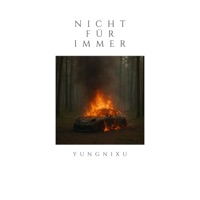 Nicht für immer - Single - YUNGNiXU