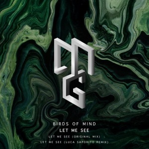 Let Me See - Single