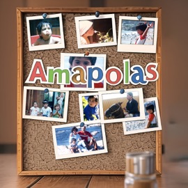 Amapolas (Acustico) Jano Zanzi