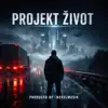 noxelmusik - Projekt život