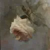 Tale of beauty