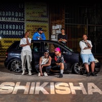 Shikisha (feat. GOGMINT_SA, TenziQ & Loony Q) - Single - Lasty_za, Mutual Beatz & 4THEE_ZA