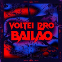 Voltei pro Bailão (feat. DJ BM PROD) - Single - Mc gk da norte & MC Lack