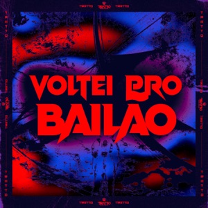 Voltei pro Bailão (feat. DJ BM PROD)