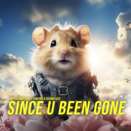 Since U Been Gone Hyper Hamster, PET3RPUNX & Techno Cats