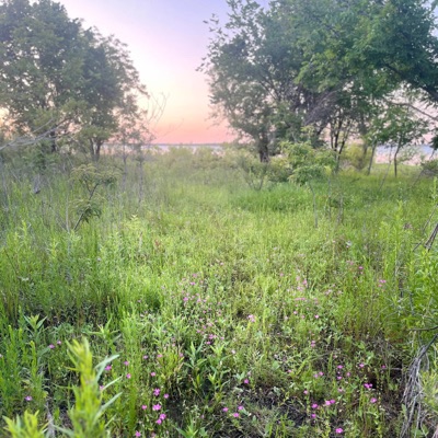 remember (feat. jayleek) - Single