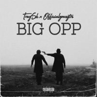 BIG OPP (feat. Officialyoungtre) - Single - Traysk