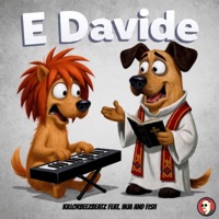 E Davide (feat. INJA and FISH) - Single - Killorbeezbeatz