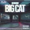 Big Cat - GENUINE lyrics