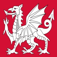 wasps - Single - certo1k