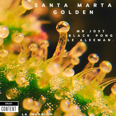 Santa Marta Golden (feat. Le Aleeman & Blvck Pong) - Single