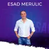 POLA MENE