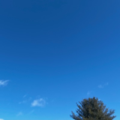 Rising/Mahasamadhi - Single