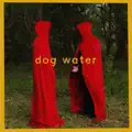 dog water