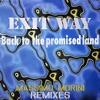 Back To The Promised Land (Back Remix)