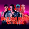 Hoje Não Quero Estresse (feat. Mc Veveto) - Single