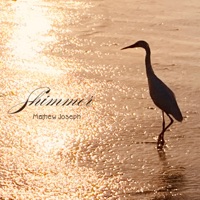 Shimmer - Single - Mathew Joseph