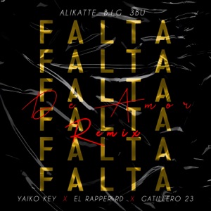 Falta de Amor (feat. Yaiko Key) [Remix] - Single