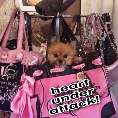 heart under attack! - Single