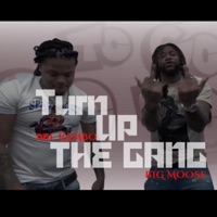 Turn Up The Gang (feat. Big Moose 280) - Single - BBE Rambo