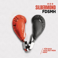 FDSMH (Für dich schlägt mein Herz) - EP - Silbermond