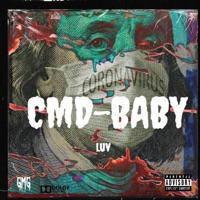 CMD-BABY - Teddylove