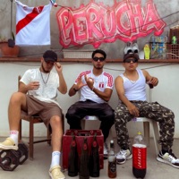 Perucha - Single - Jacasvi, Zioto & Brow Kalon