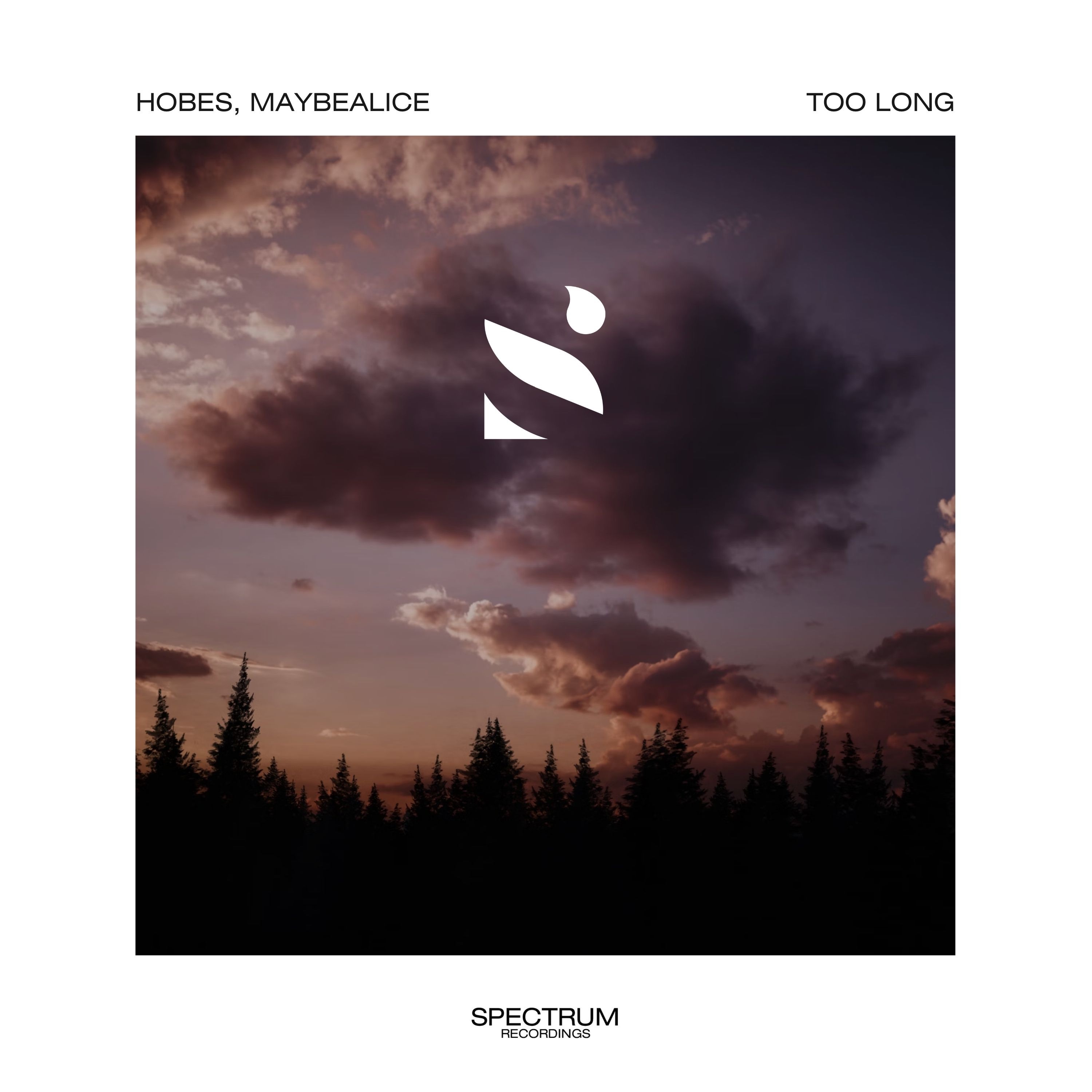 Too Long - Single