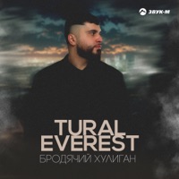 Бродячий хулиган - Single - TURAL EVEREST