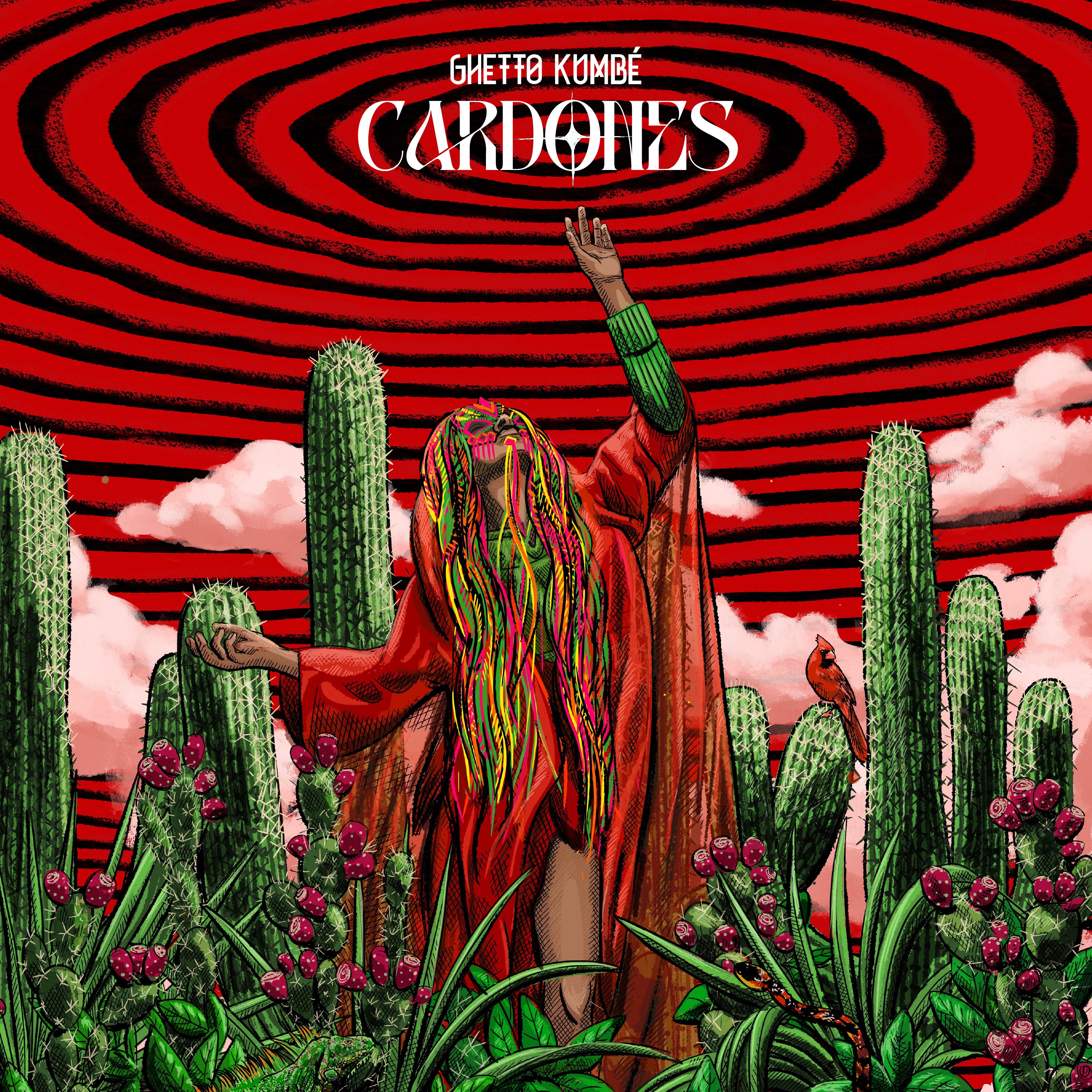 Cardones
