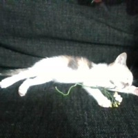 Album cover for I look better in a tomb - Single by 1nonlyS0ul