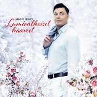 Lumivalkoiset haaveet - Single - Janne Leino