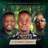 Inhliziyo (feat. Mthunzi & DJ Ngwazi) - Single - Lowsheen