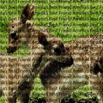 Amelia's Best Friend - Put You Down