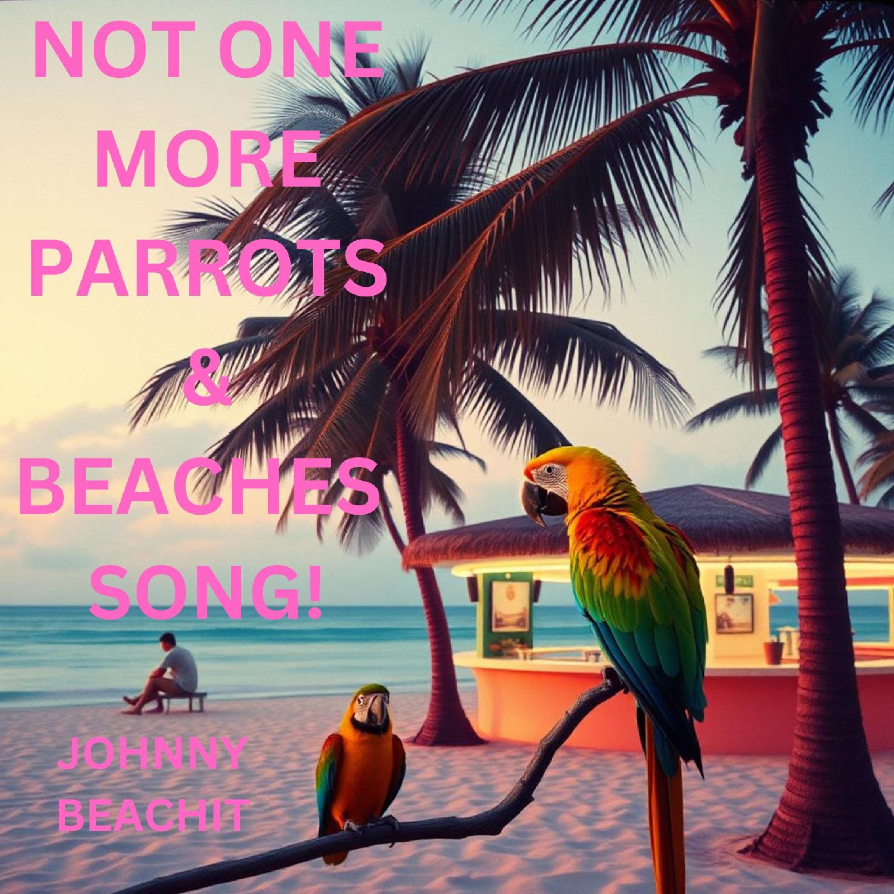 Not One More Parrots & Beaches Song! - Single